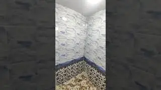 20 марта 2024 г.