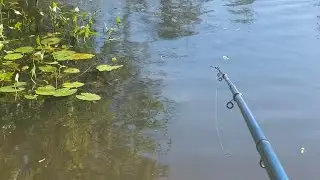 Рыба клюёт! Опоздал 🙃