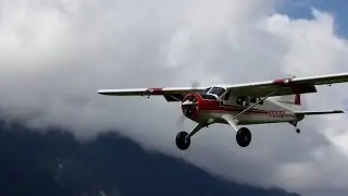 Hangar 9 Beaver 30cc with Saito FG-60R3