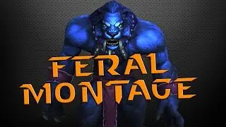 Rapidy - WoD 6.2.3 Feral Druid PvP Montage