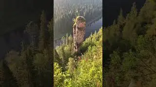 Внимание! Спасибо за внимание