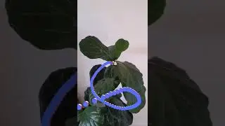 Spark AR | 3D Paintbrush effect #augmentedreality #metaverse