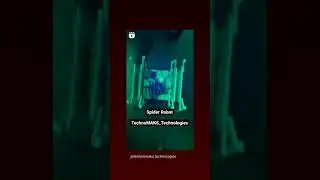 spider robot