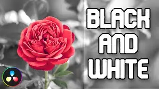 How To Make a Video Black and White - Davinci Resolve Tutorial