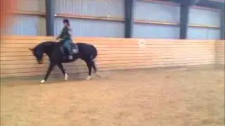 Dirocca med rytter.wmv