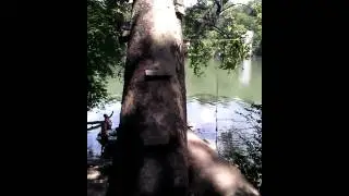 Amazing grandpa