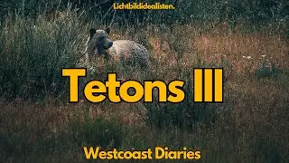 Wildlifefotografie im Teton National Park (Wyoming) - Westcoastdiaries 25