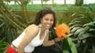 Fotos Luiza Jardim do Rei