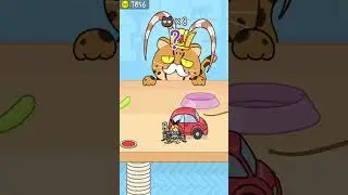 Hide and Seek: Cat Escape! 👀🐱 257 Endless Mode Gameplay Walkthrough | Best Android, iOS Games