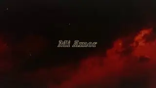SoMo - Mi Amor (Official Lyric Video)
