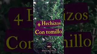 4 hechizos con tomillo 