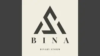 Binary Storm