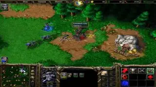 Warcraft 3 - 2x2 - СТРИМ ИГРЫ (26.02)