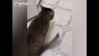 это мое невезучие место