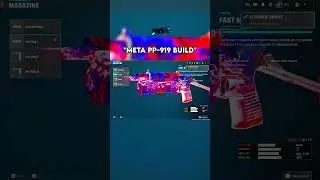 THE *MAX DAMAGE* PP-919 BUILD on WARZONE 👑 