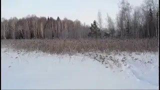 Sanek patrols his swamps