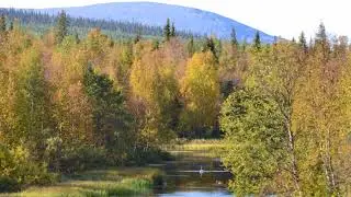 Lasse Hoikka ja Souvarit. Lapin kesä