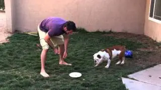 Teaching Nitro To Leave It