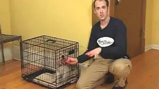 Jeff Millman Dog Training - Housetraining - where should your puppy sleep at night?