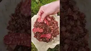 Chicago-style Pizza in the WOODS! 🍕🔥 ASMR Cooking