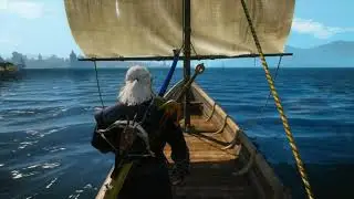 The Witcher 3 - The Sword, Famine and Perfidy Bug Solution