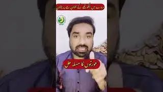 Bisp 2024  