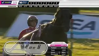 Elitloppet 2020 - Propulsion