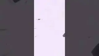 what if goku vs saitama who would win