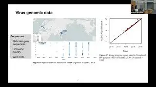 Synchrony of bird migration with avian influenza global spread