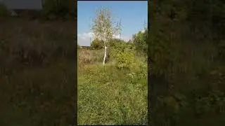 Отрадное3