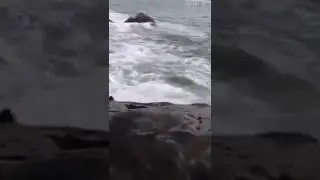 China funny vid - take a picture of me on the rocks