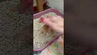 Первые шаги к взрослению))