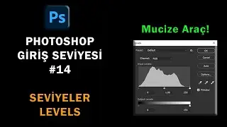 Temel Photoshop - #14 \ Photoshop Seviyeler (Levels), mucize araç.