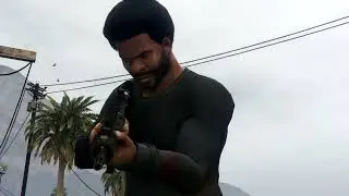 Franklin vs. Cougar