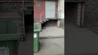 Типичный Петербург