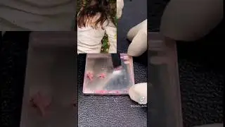 4 часть «заброшенная фабрика»💘
