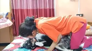 Started fun with my dog Shinchan 🐶 | His angry and cute moments 😍