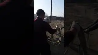 Айғыр