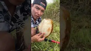 Don’t bust it before the busting time 🥥