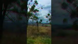 Подорож