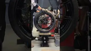 #carlovers