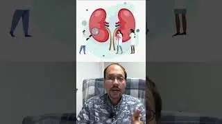 Does Too Much Protein Damage Kidneys?
