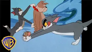 Tom y Jerry en Español 🇪🇸 | Las mejores travesuras de Tom 🐱 | Travesuras vacacionales|