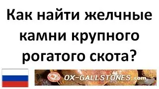 Где? Как?