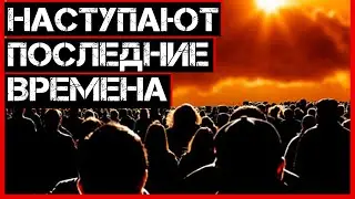 Что думают мусульмане других стран о войне в Украине?