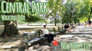 Strolling Through A Scenic Walk in Central Park, NYC