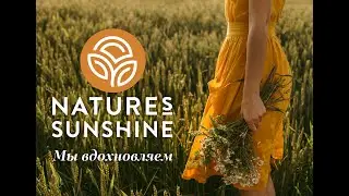 NSP.  Возможности партнерства.