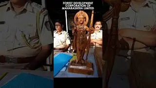 Forest Development Corporation of Maharashtra | FDCM #minivlog  #shorts