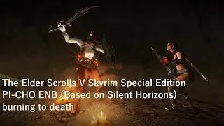Skyrim Playing with PI-CHO ENB burning to death in Cronvangr Cave