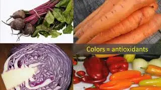 Healing Power Of Food to Our Mitochondria